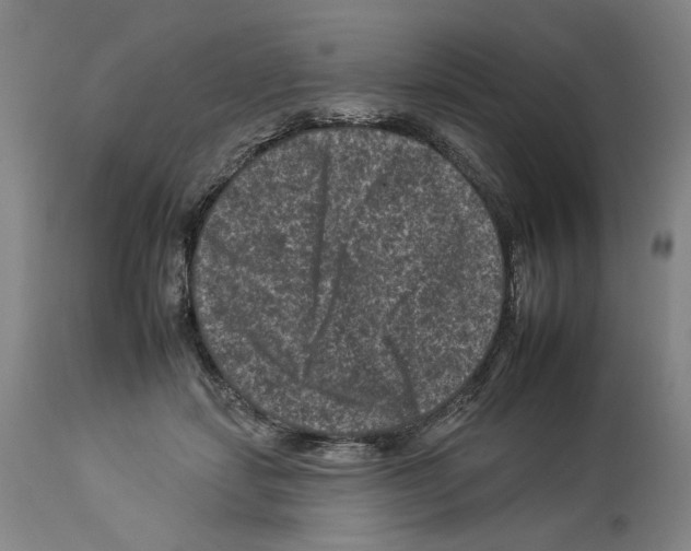 X0000112930459200910051135