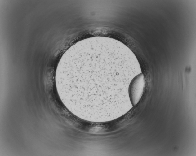 X0000112930460200910051135