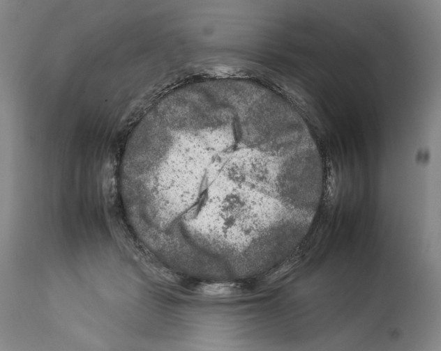 X0000112930461200910051135