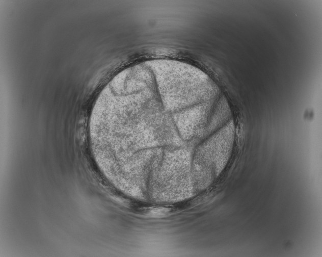 X0000112930462200910051135