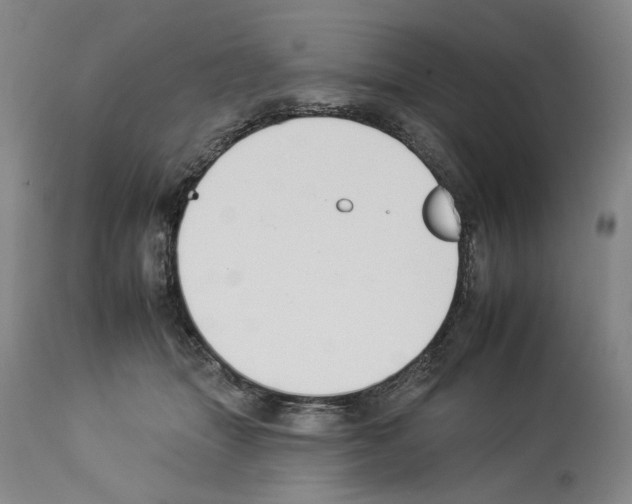 X0000112930463200910051135