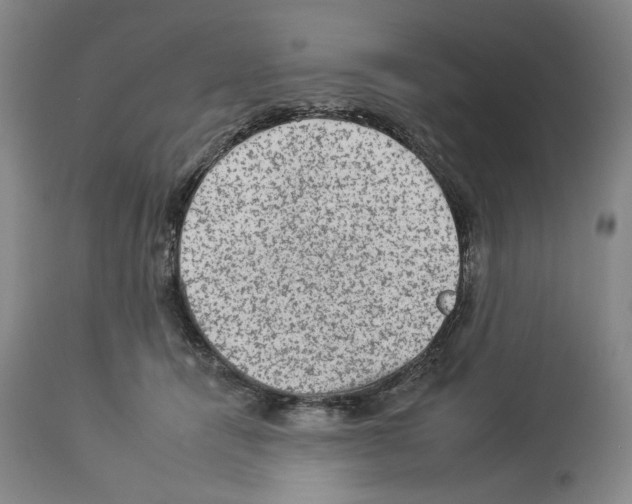 X0000112930464200910051135