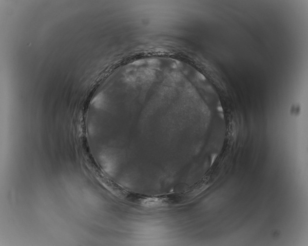 X0000112930465200910051135