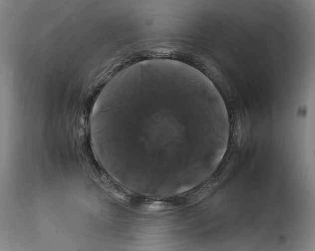X0000112930467200910051135