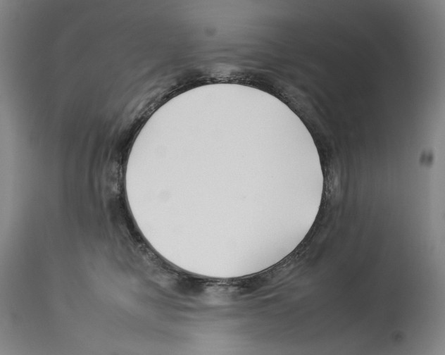 X0000112930470200910051135
