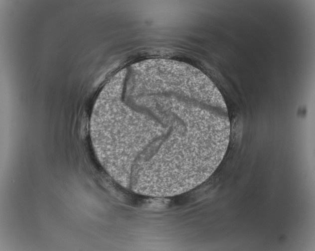 X0000112930474200910051135