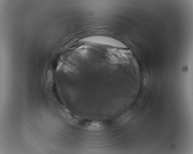 X0000112930475200910051135