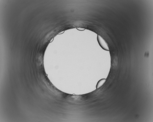 X0000112930478200910051135