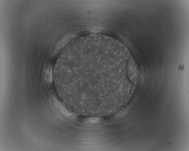 X0000112930479200910051135