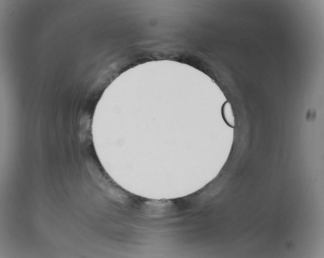 X0000112930480200910051135
