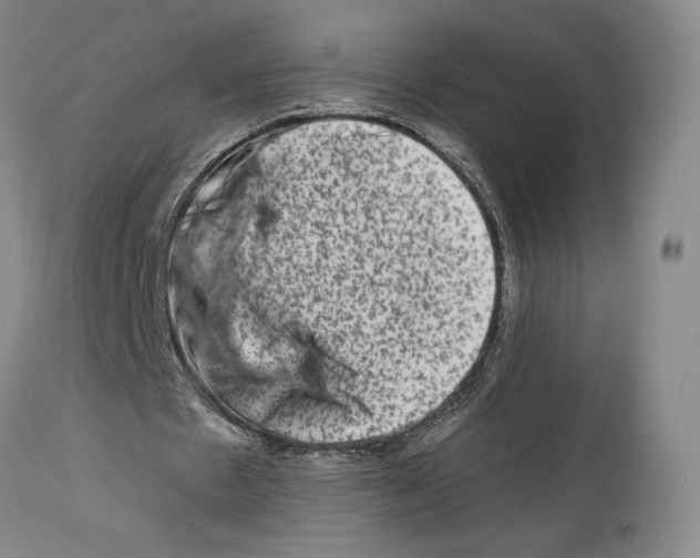 X0000112930481200910051135