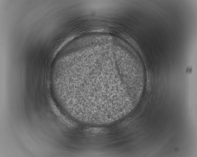 X0000112930482200910051135