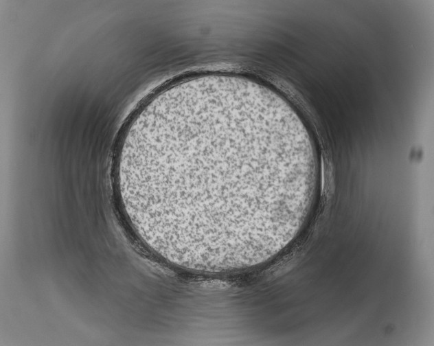 X0000112930483200910051135