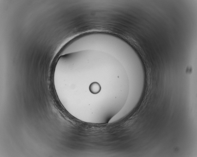 X0000112930484200910051135