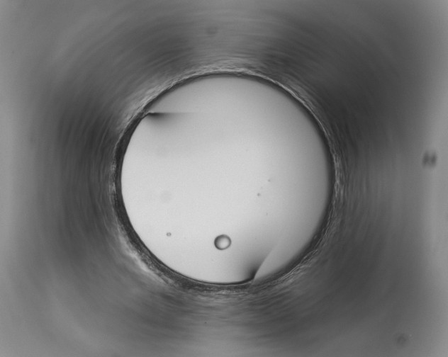 X0000112930485200910051135