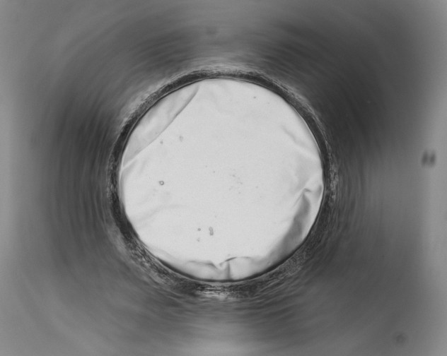 X0000112930487200910051135