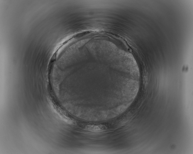 X0000112930488200910051135