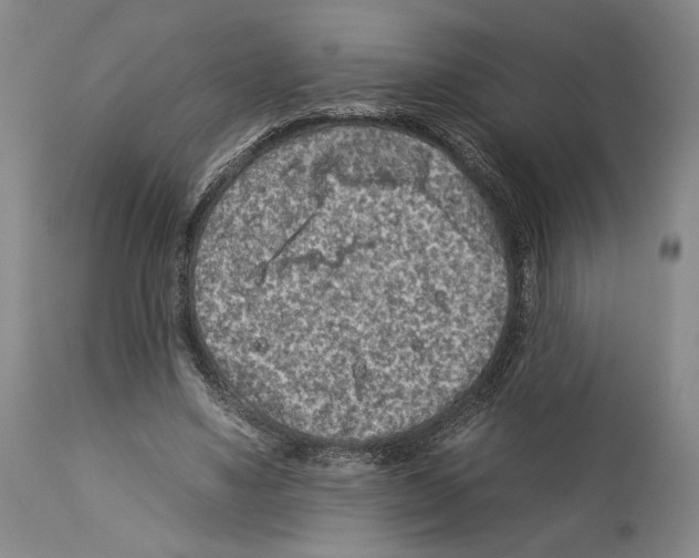 X0000112930491200910051135