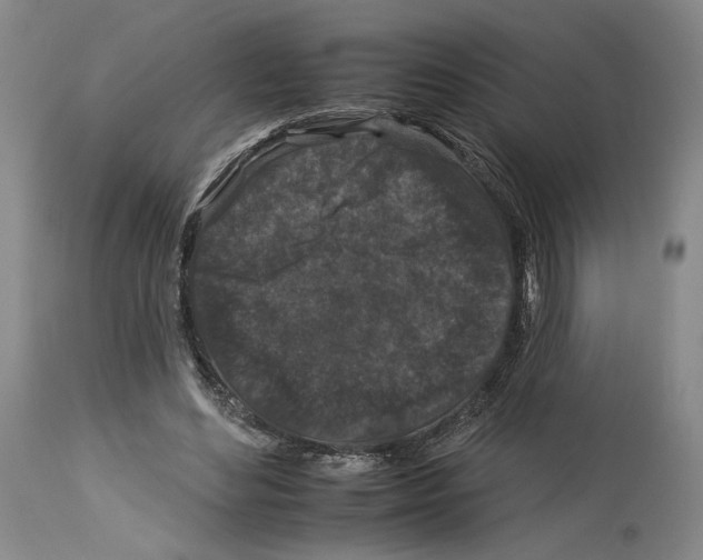 X0000112930492200910051135