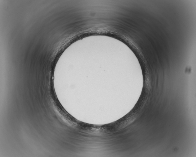 X0000112930493200910051135