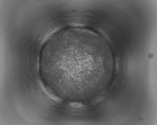 X0000112930494200910051135