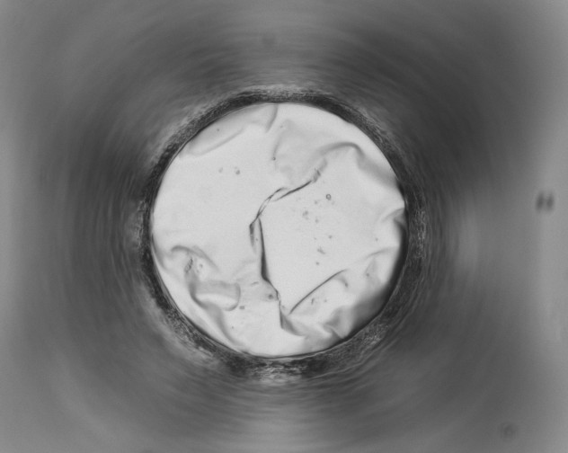 X0000112930495200910051135