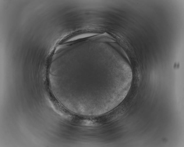 X0000112930496200910051135