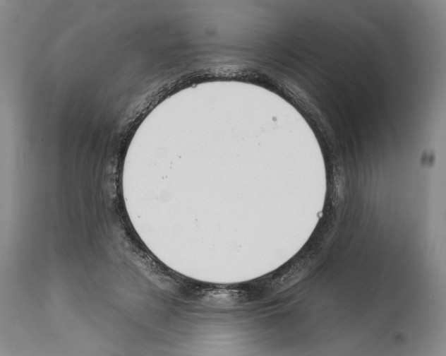 X0000112930497200910051135