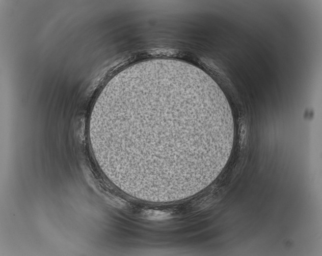 X0000112930498200910051135