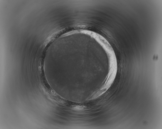 X0000112930500200910051135