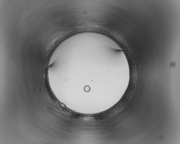 X0000112930501200910051135