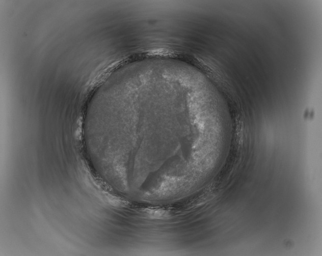 X0000112930502200910051135