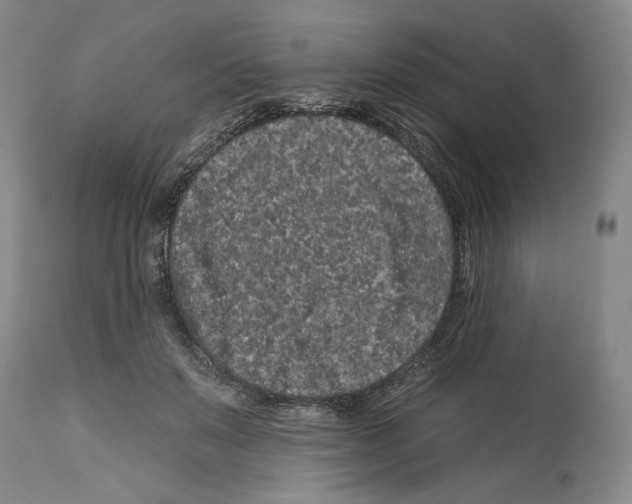 X0000112930503200910051135