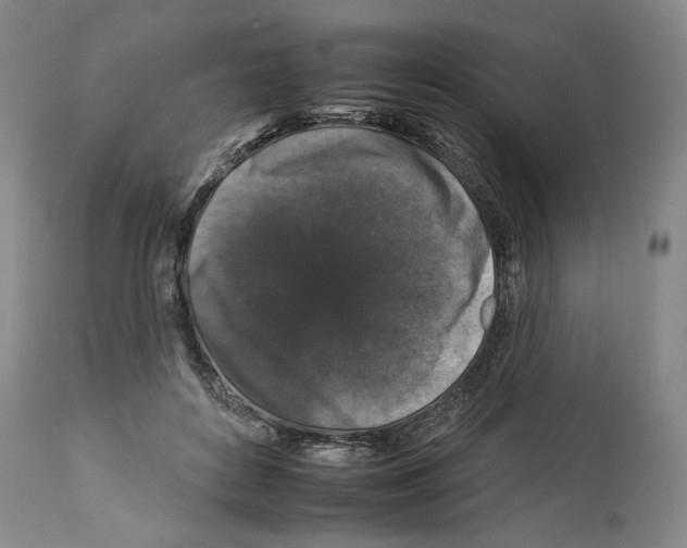 X0000112930504200910051135