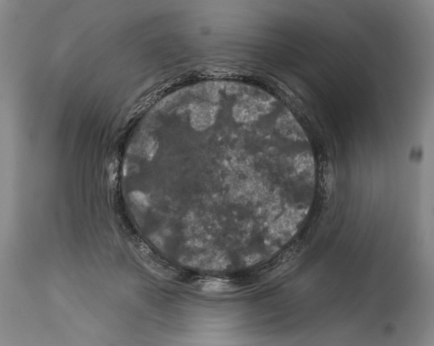 X0000112930507200910051134