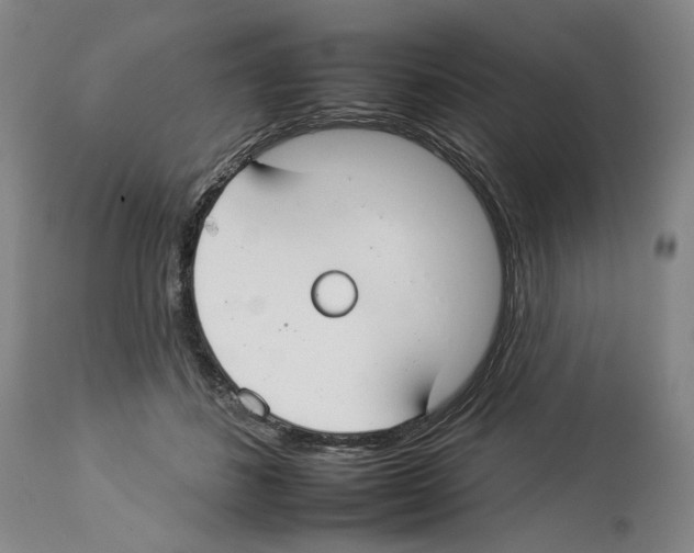 X0000112930508200910051134