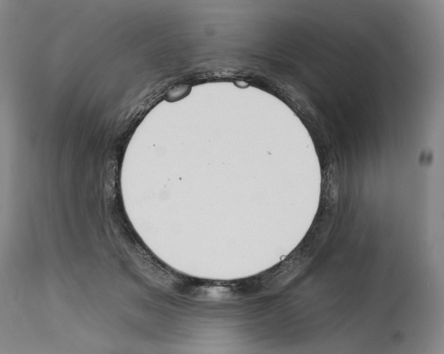 X0000112930509200910051134
