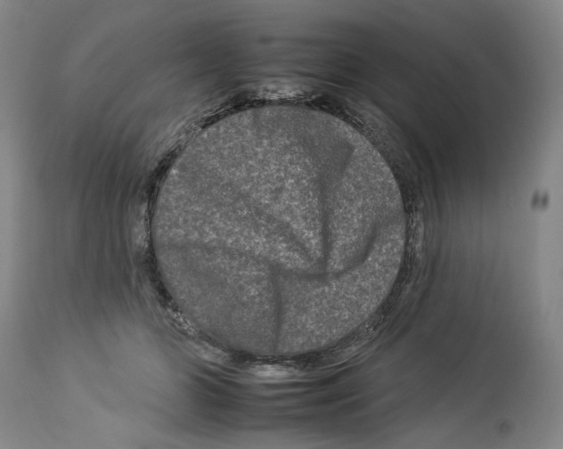 X0000112930510200910051134