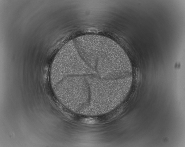 X0000112930511200910051134