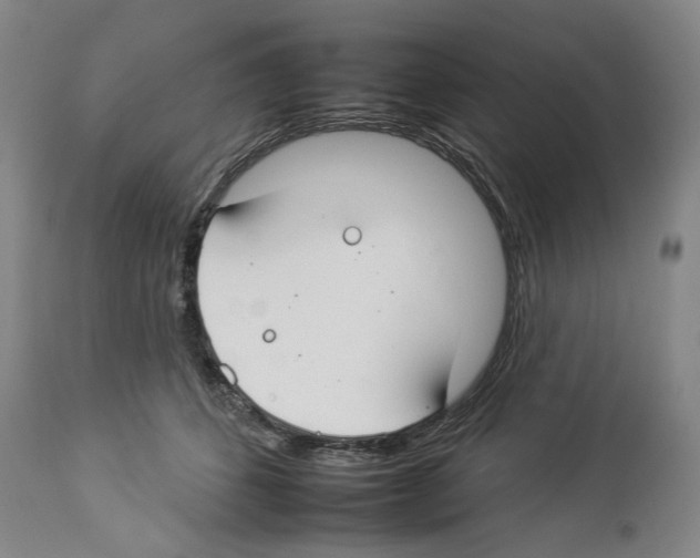 X0000112930512200910051134