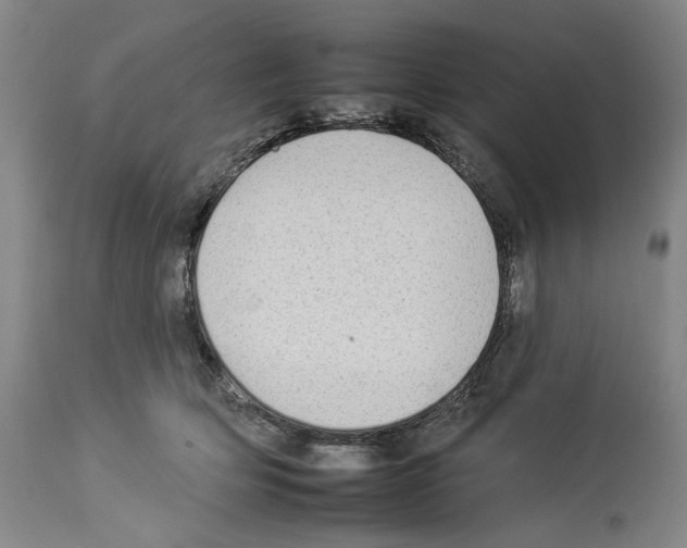 X0000112930514200910051134