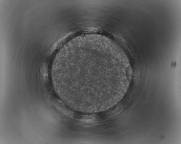 X0000112930516200910051134