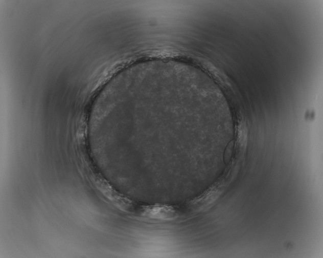 X0000112930517200910051134