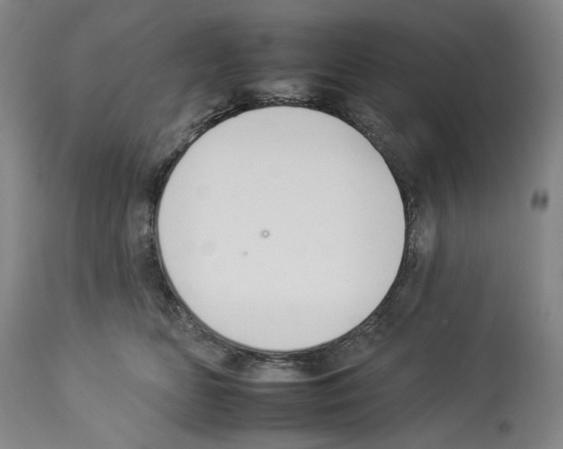 X0000112930518200910051134