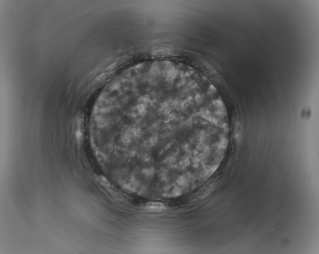 X0000112930519200910051134
