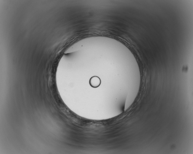 X0000112930520200910051134