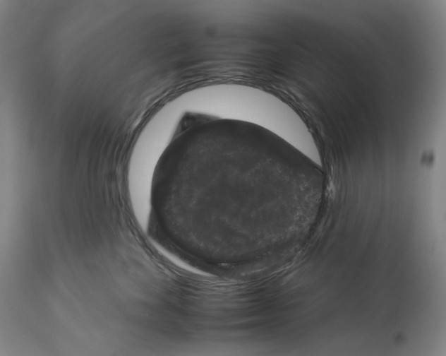 X0000112930524200910051134