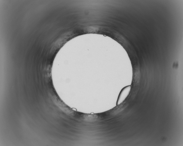 X0000112930525200910051134