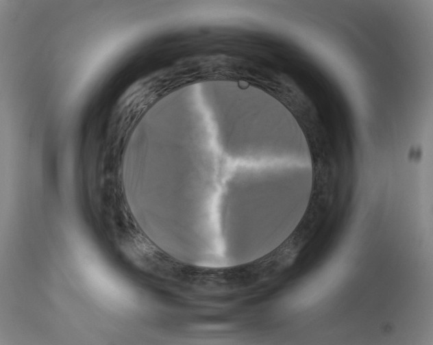 X0000112930526200910051134