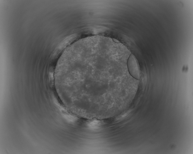 X0000112930527200910051134